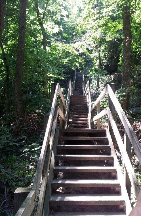 5a63d2407580a13c7d0614bce2ce05cb