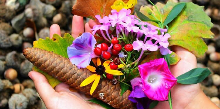 What The Season Of Autumn Symbolizes To&nbsp;Us