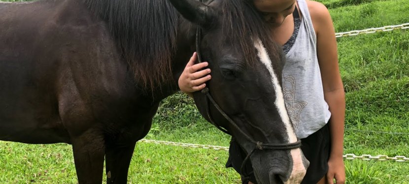 Life Lessons Learned in Costa Rica-From our Horses and the Eponicity&nbsp;Program